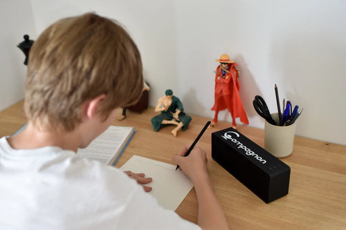 Adolescent utilisant Compagnon pour les devoirs