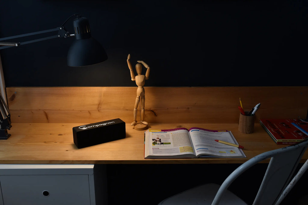 Compagnon sur bureau avec livre scolaire
